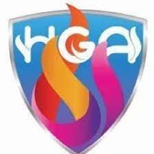 HINDUSTAN GENERAL AGENCIES