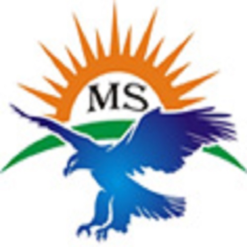 MS FIRE SAFETY SERVICES