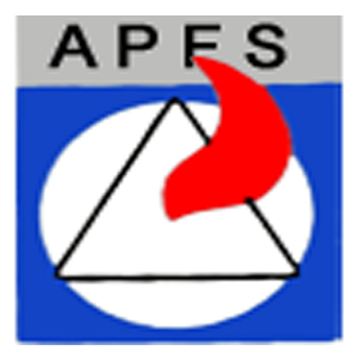 Advanced Protection Fire Systems